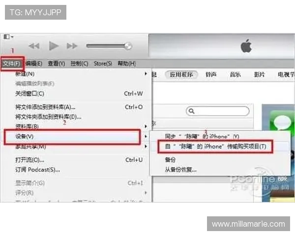 快速便捷的pg娱乐登录下载官网下载安装流程详解教程